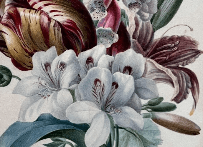 Antique Painting Original Flowers, Floral, Still Life, Butterfly, Tulip image 6