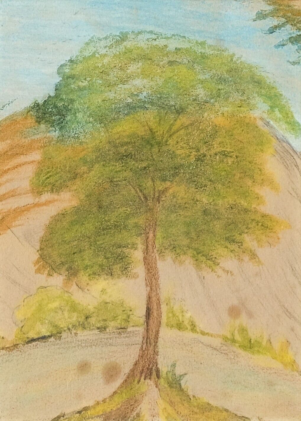 Antique Drawing Original Tree, Meadow, Landscape Artwork image 1