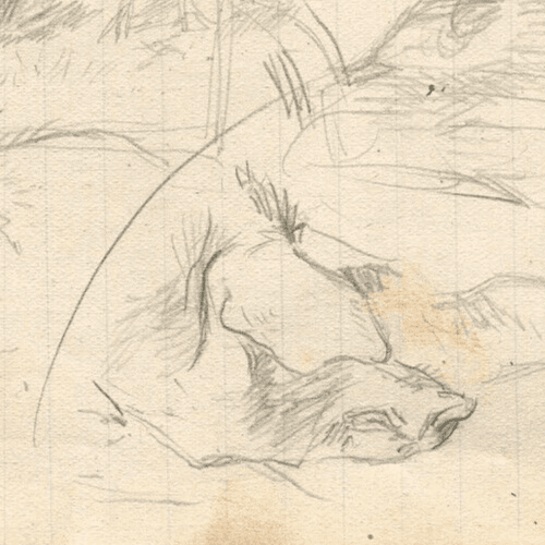Vintage Pencil Drawing Original Profil, Head of a Pig, Animals image 3