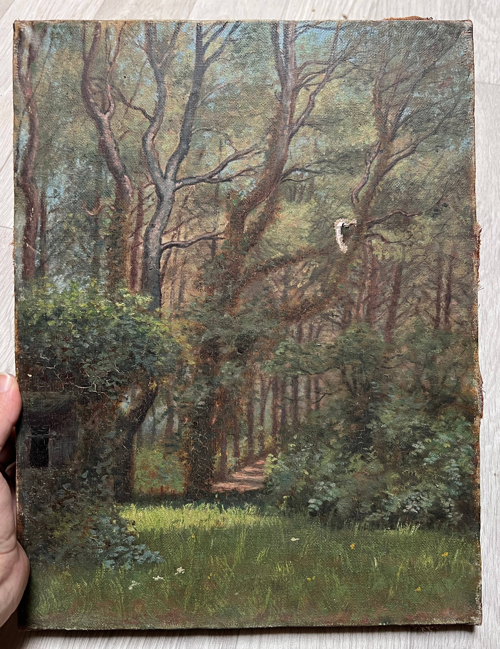 Painting Forest and Trees Landscape image 2