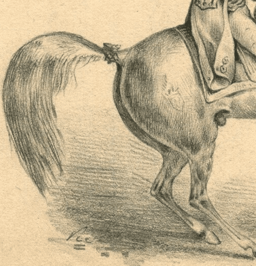 Antique Pencil Drawing Original 19th century Rider and Horse, Man image 3