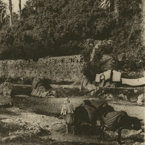 Vintage Photographs R. PROUHO Bou Saada Oued in the oasis, Algeria c.1910 image 2