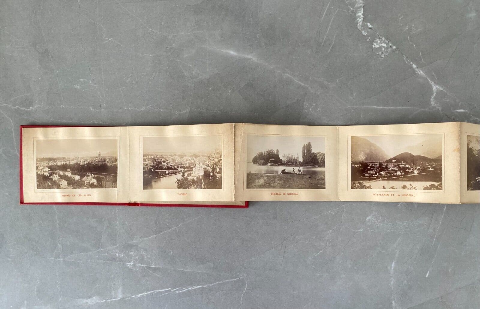 Vintage Photographs Antique Album Oberland Bernois, albumen prints c 1870 image 2