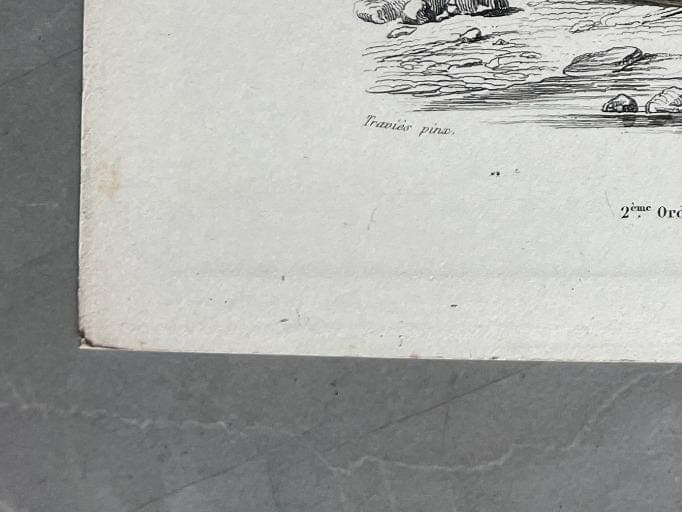 Antique Blue Whale Natural History Print by Edouard TRAVIES (1809-1869) image 8