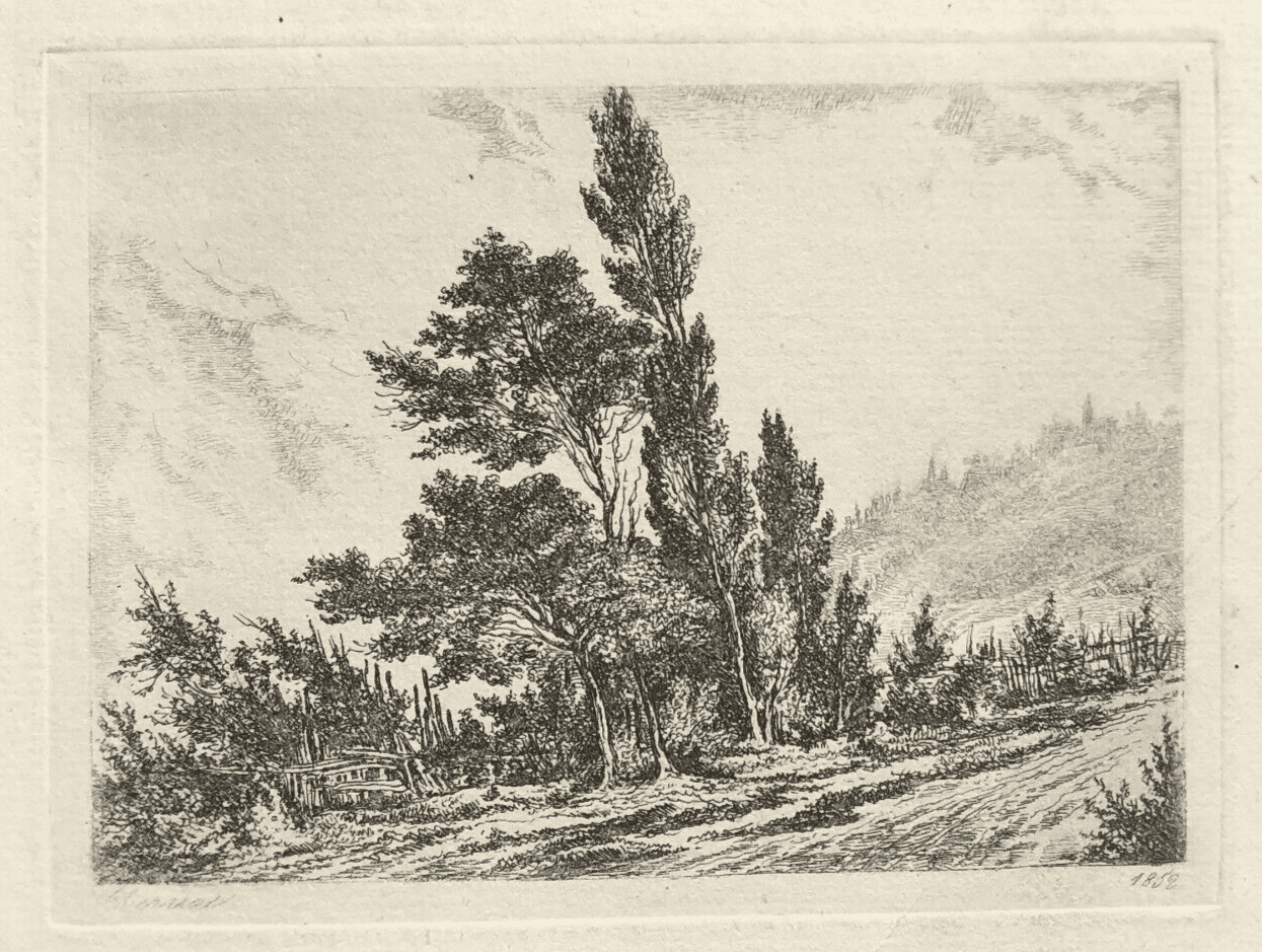 Antique Etching Original Landscape, Trees, Nature, Path 19th century 1852 image 5