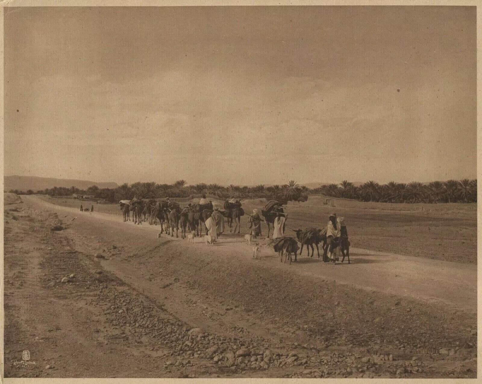 Vintage Photographs LEHNERT & LANDROCK - Heliogravure, Caravan to Oasis c.1910 image 5