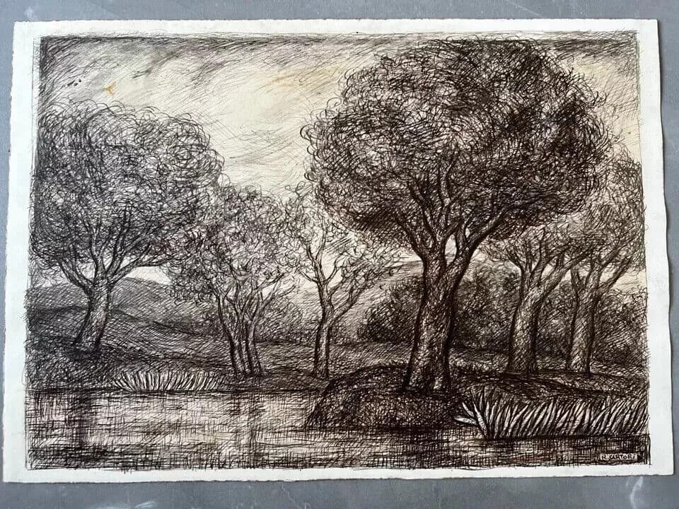 Original Antique Ink Drawing Landscape with Trees Artwork image 8
