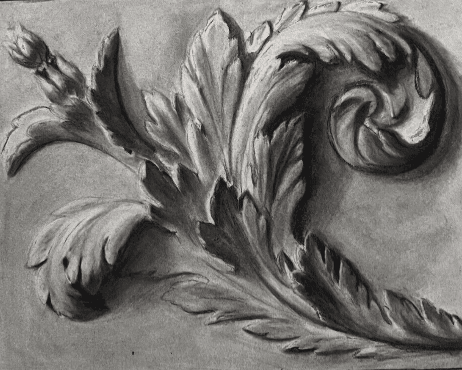 Antique Drawing Charcoal Original Flowers, Floral, Plant Floral image 1