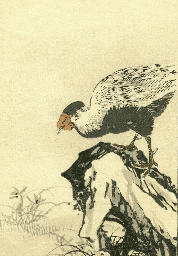 Antique Japanese Floral Woodprint Flowers, Bird, Turkey c. 1890 Art Print Ukiyo image 1