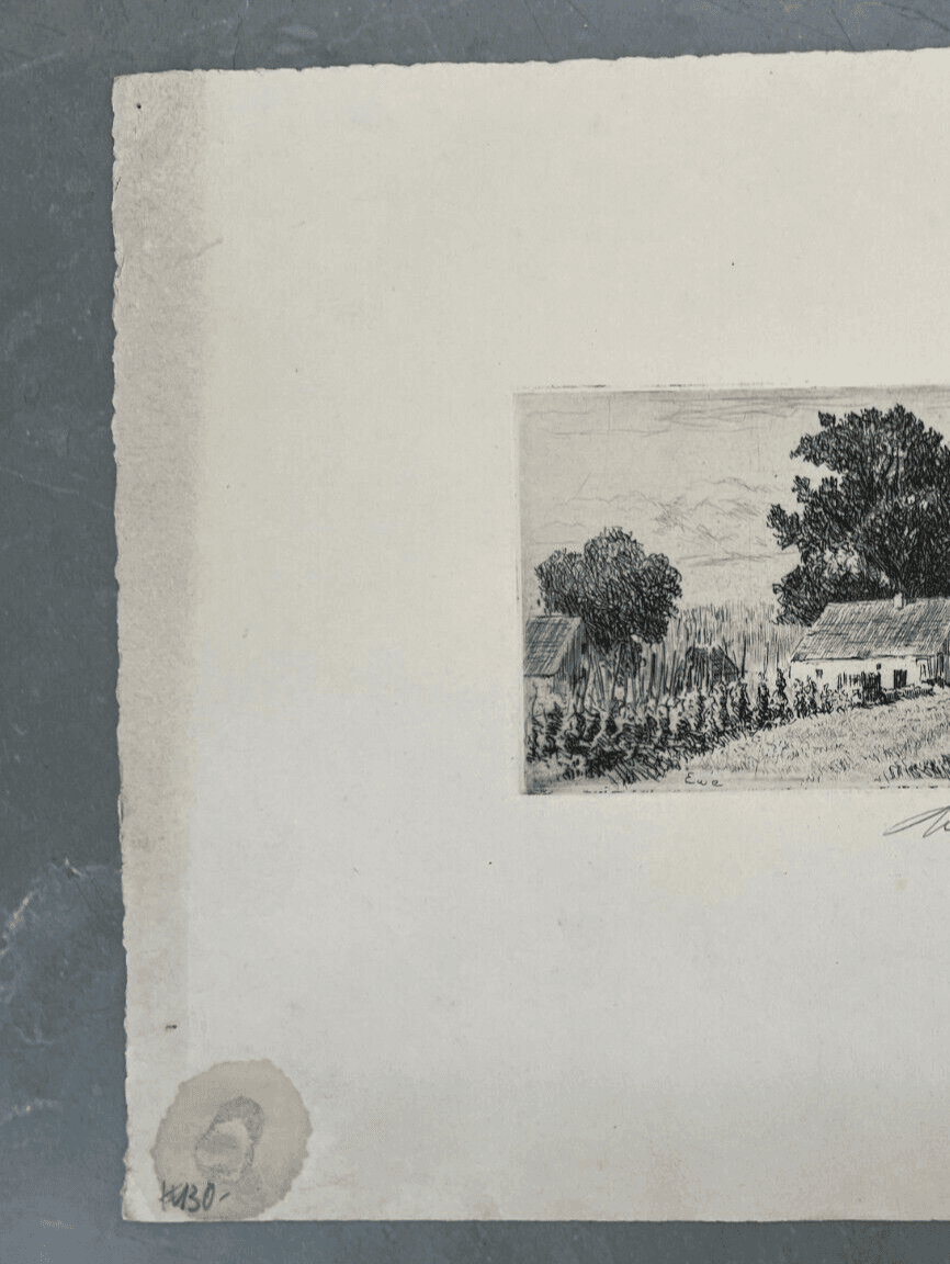 Antique Etching Original Landscape, Forest, Trees, House, Garden image 3