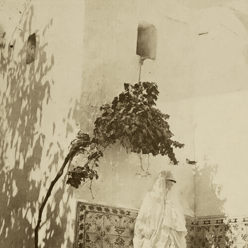 Vintage Photographs Man and Woman Morrocco, Cemetery Abdérhaman, Albumen c.1880 image 3
