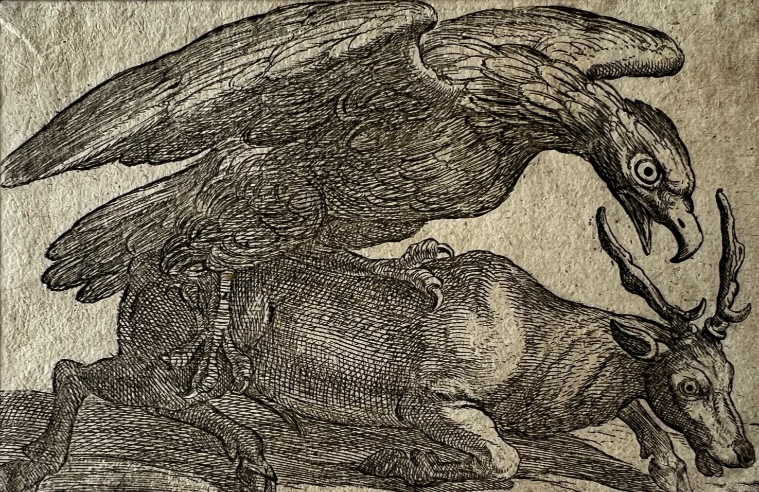 17th century engraving, Eagle and Dear