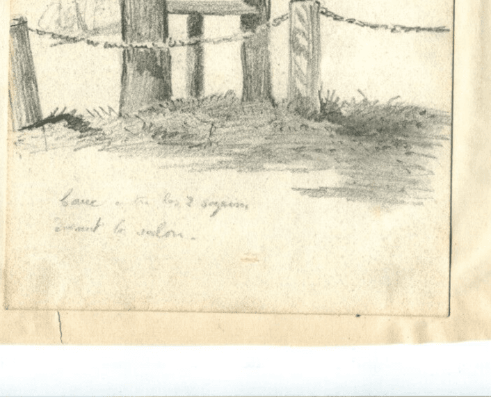 Vintage Pencil Original Drawing of Fir, Willow Trees x2 image 3