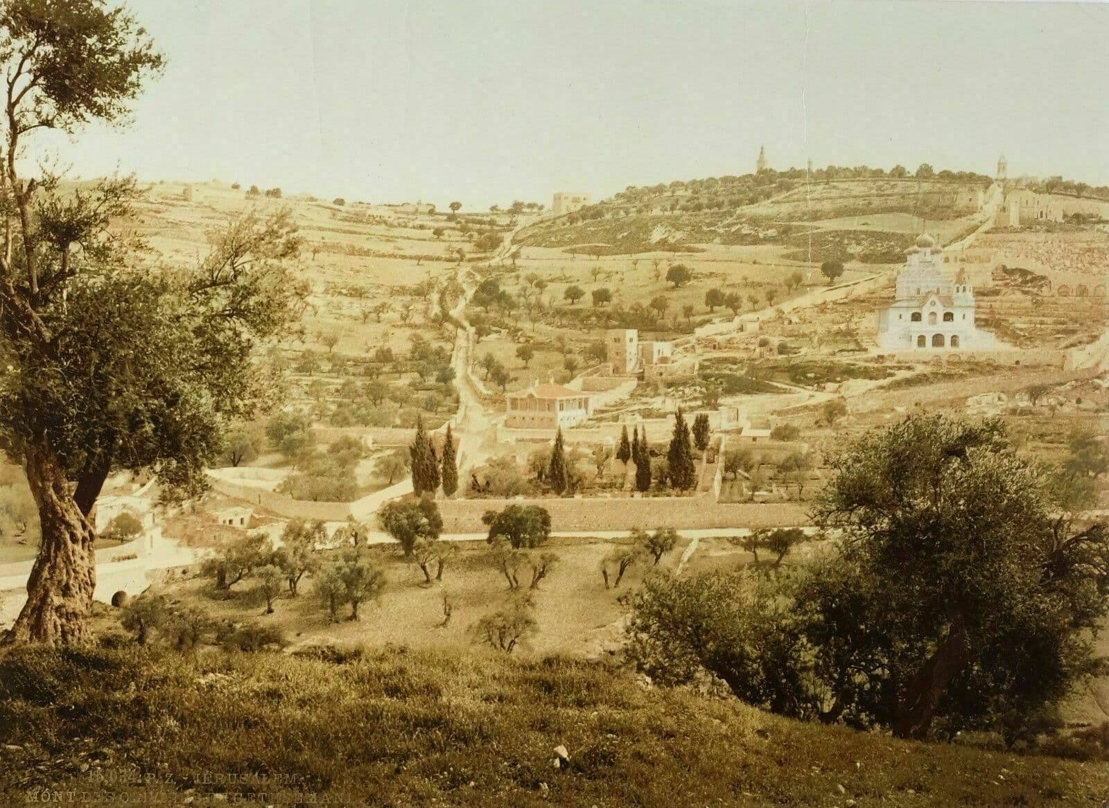 Photographs PZ PHOTOCHROME Jerusalem Mount of Olives c.1899 image 1