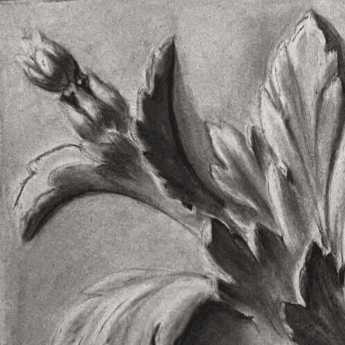 Antique Drawing Charcoal Original Flowers, Floral, Plant Floral image 2