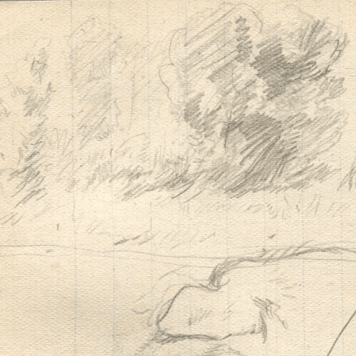 Vintage Pencil Drawing Original Profil, Head of a Pig, Animals image 5
