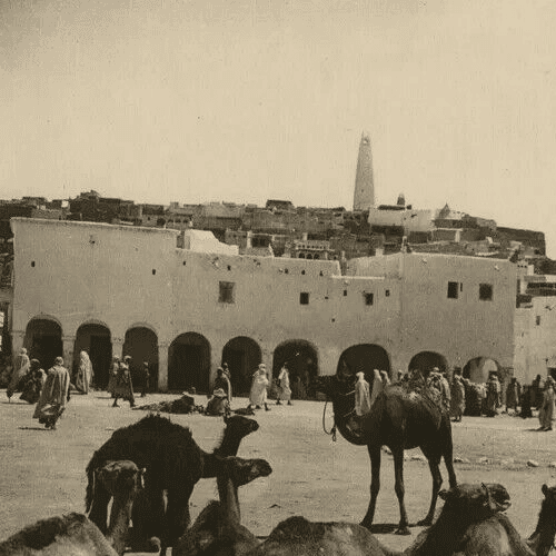 Vintage Photographs R.PROUHO - Gardaiah, Mzab Market, Algeria c. 1910 image 2