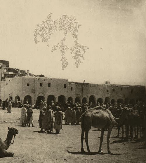 Vintage Photographs R.PROUHO - Gardaiah, Mzab Market, Algeria c. 1910 image 4