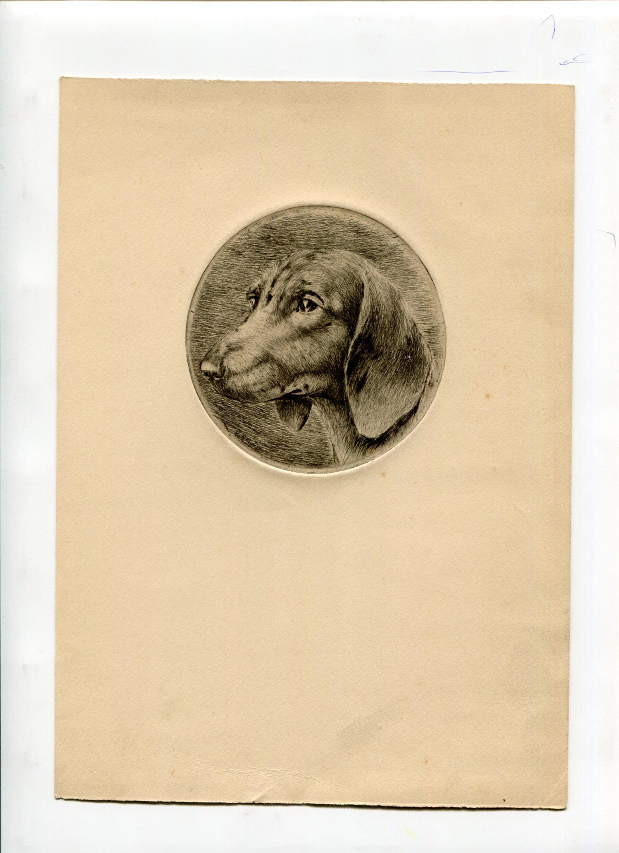 Dachshund Etching 19th Century Animal Art Jacques REBOUR (XX) Dog Portrait image 1