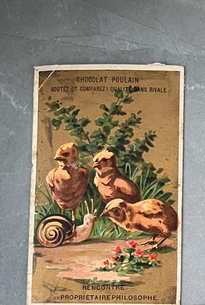 Set of 6 Vintage Chocolat Poulain Trade Cards - Charming French Ephemera image 8