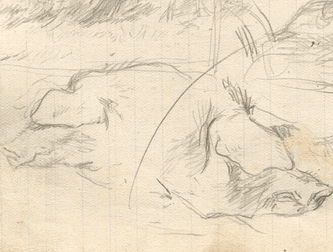 Vintage Pencil Drawing Original Profil, Head of a Pig, Animals image 1