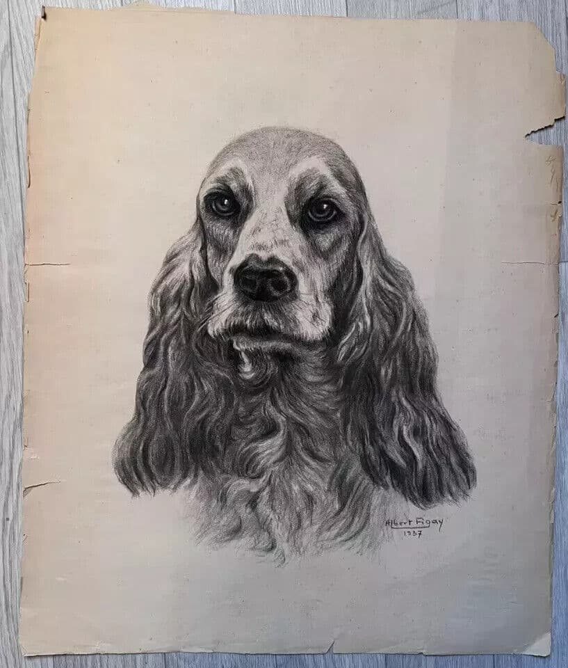 Original Antique Charcoal Drawing Dog Portrait Albert FIGAY (1907-2004) image 7