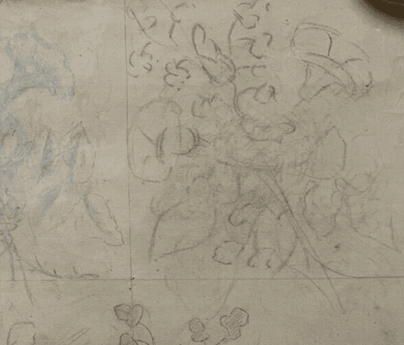 Antique Original Drawing Flowers, Floral, Still Life, Sketch image 3