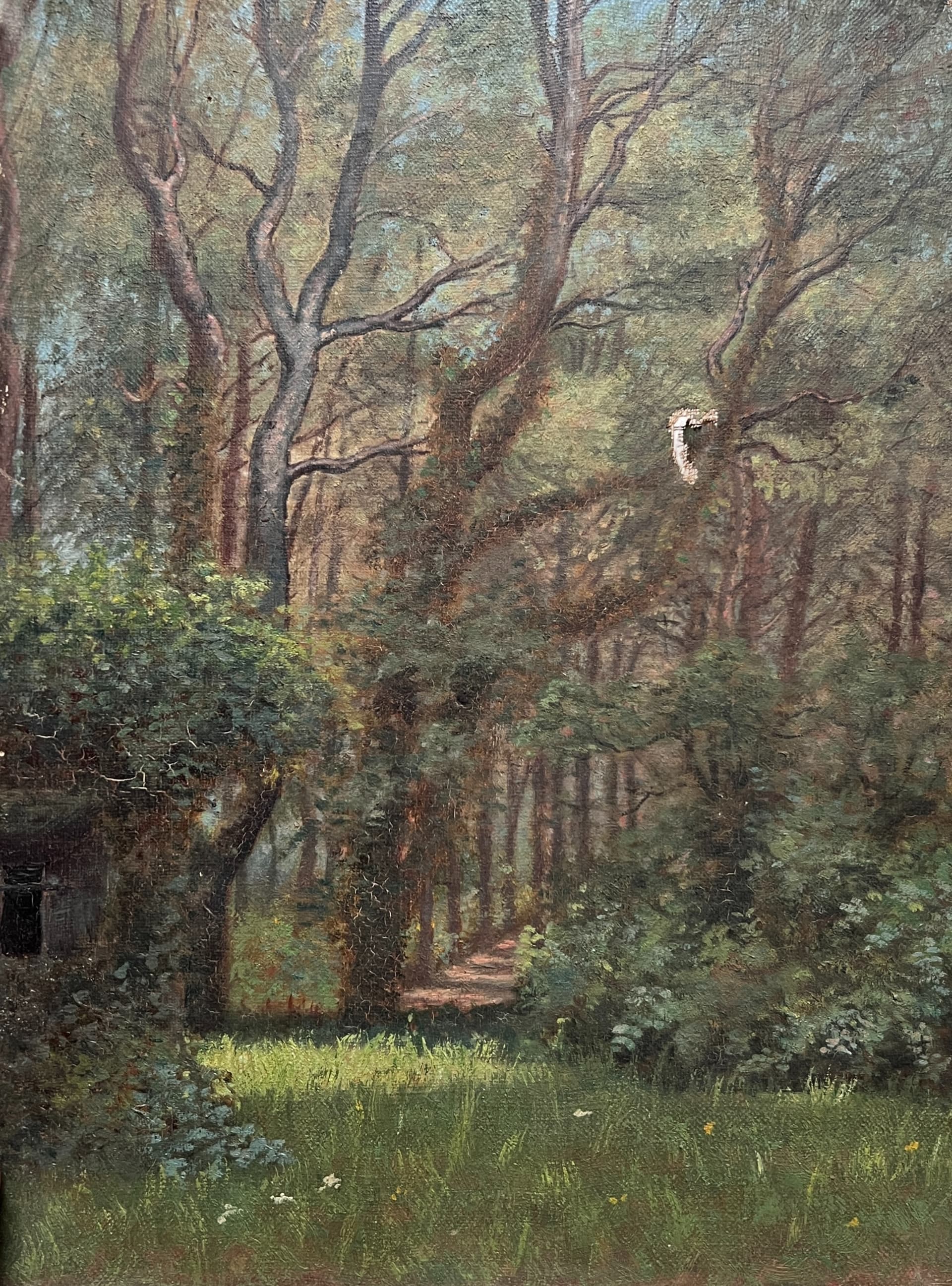 Painting Forest and Trees Landscape