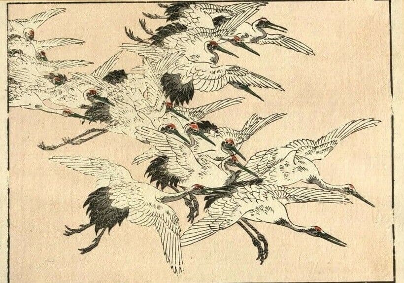 Japanese Antique Woodprint Japan Red-crowned Crane 1830 Art Print Ukiyo-e