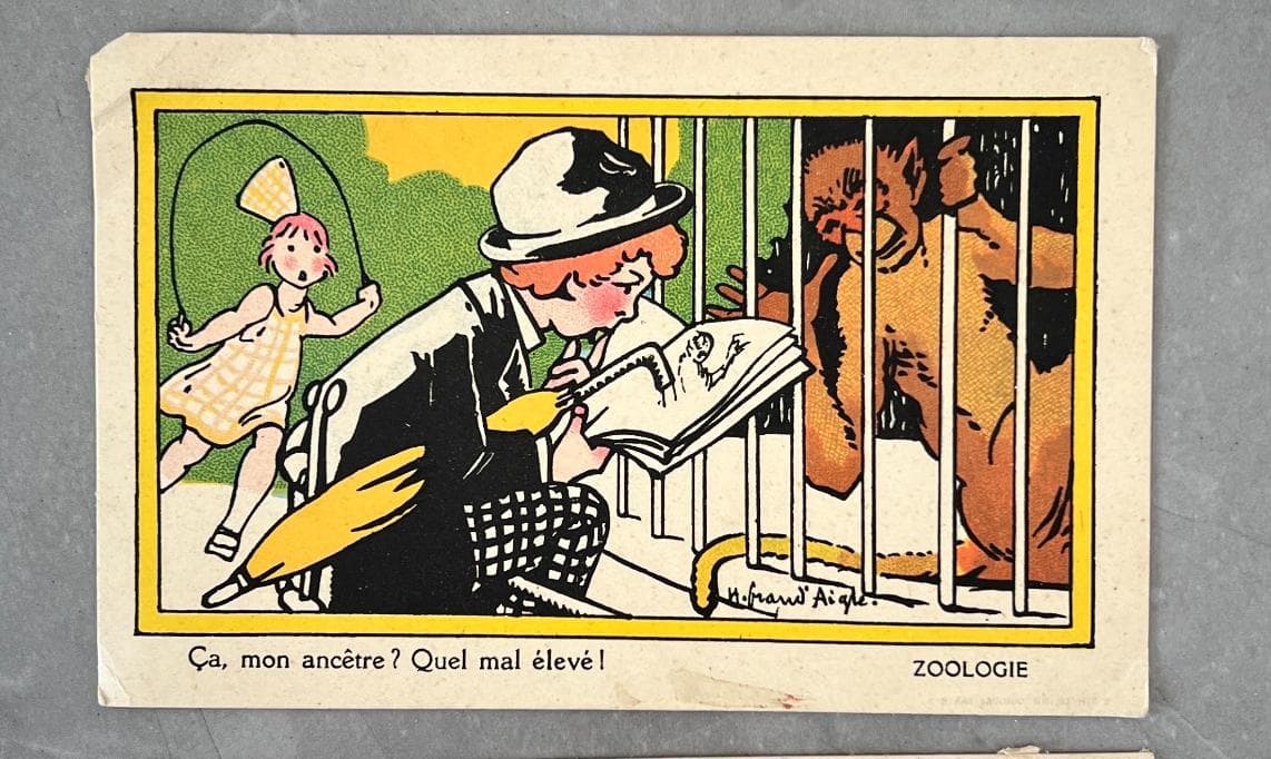 Set of 3 Vintage French Educational Cards - Mechanics, Zoology, Chemistry image 4