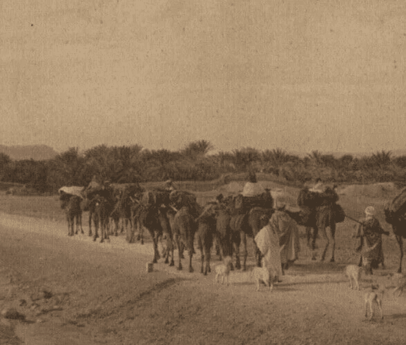 Vintage Photographs LEHNERT & LANDROCK - Heliogravure, Caravan to Oasis c.1910 image 3