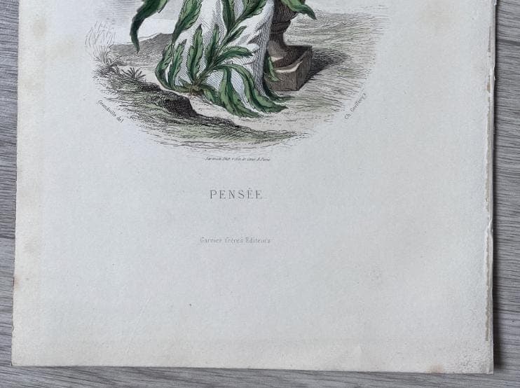 Antique Botanical Costume Illustration "Pensée" Pansy-Inspired Dress 19th image 10