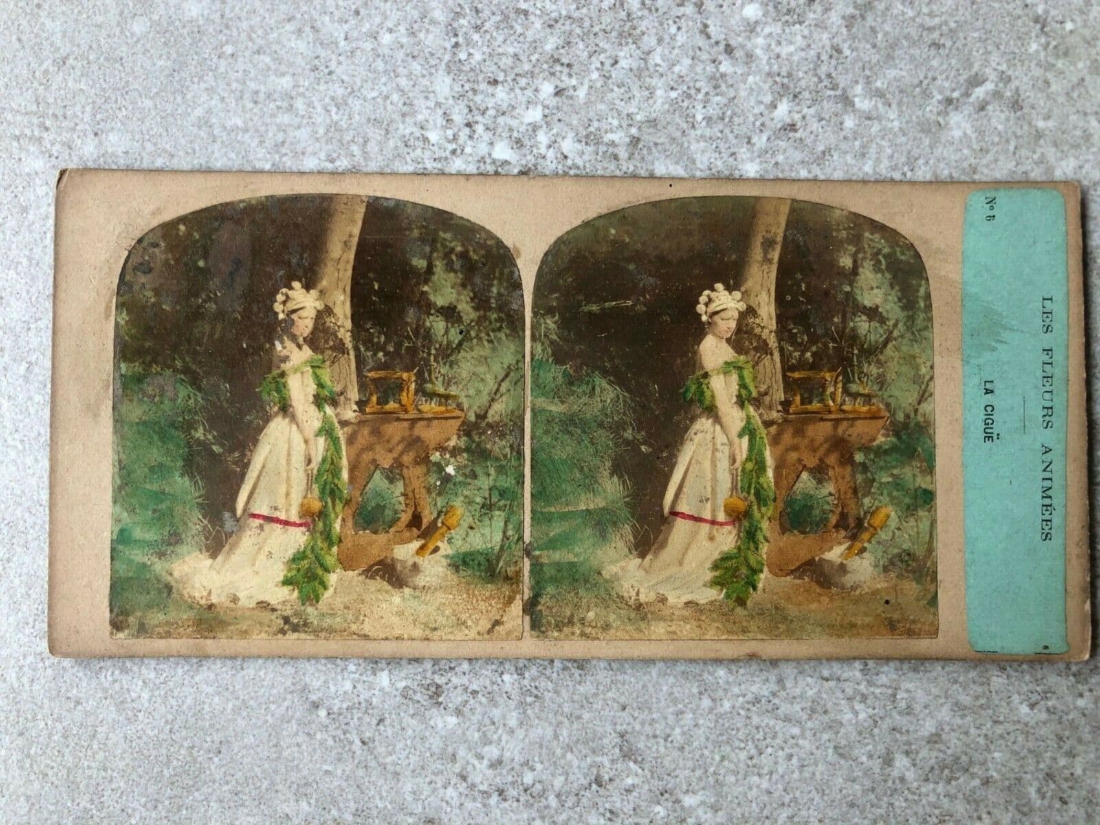 Vintage Stereoview Figures and Flowers, Furne & Tournier, Albumen c.1860 x9 image 2