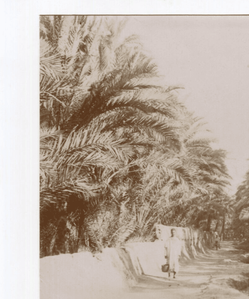 Vintage Photographs Orientalism, Africa, Algeria, Constantine Landscape image 7