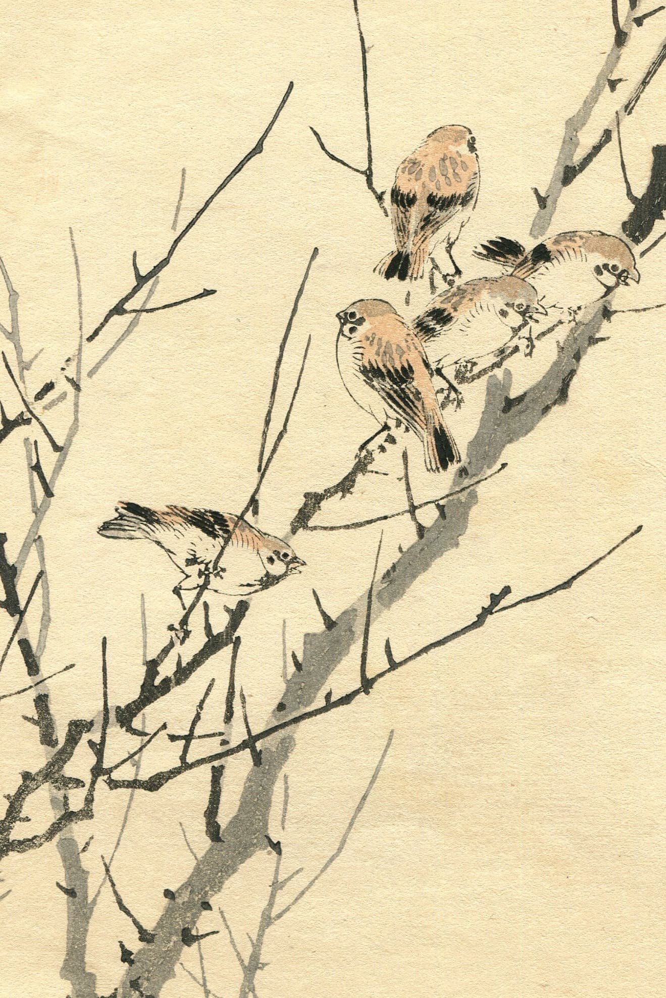 Sparrow Birds Japanese Ukiyo-e Print c. 1890