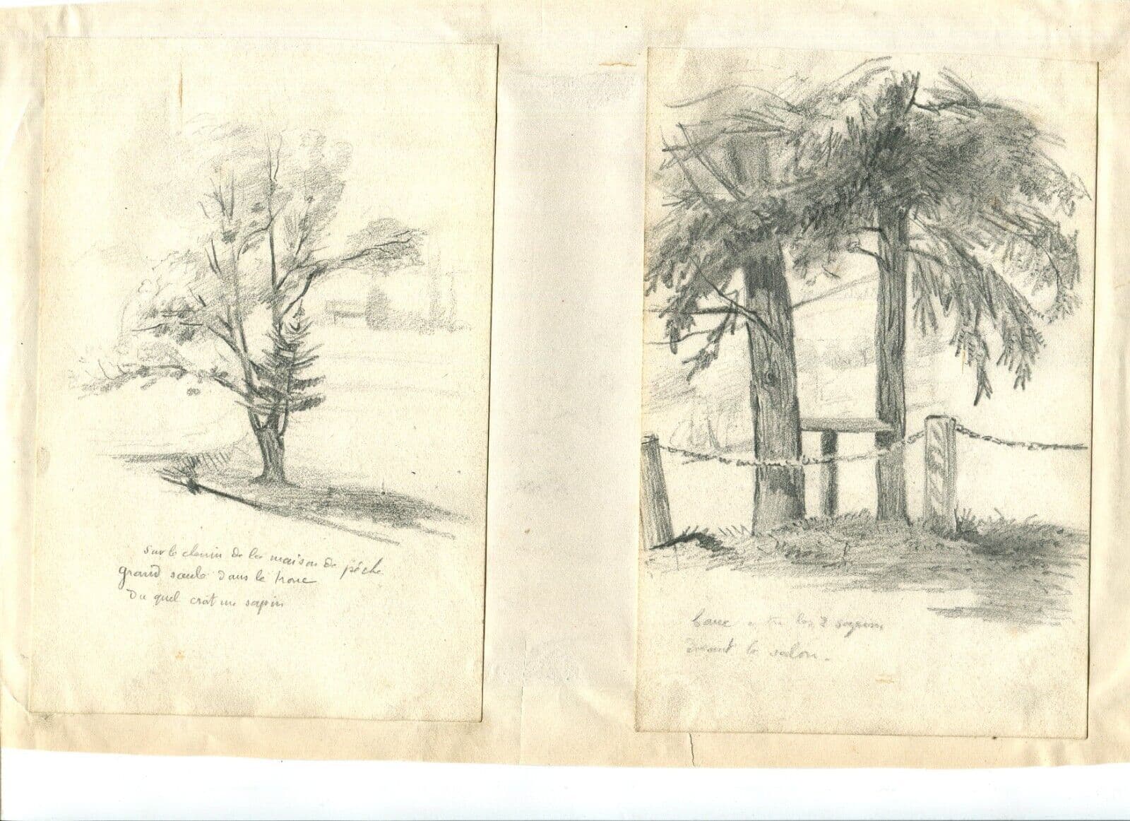 Vintage Pencil Original Drawing of Fir, Willow Trees x2 image 6