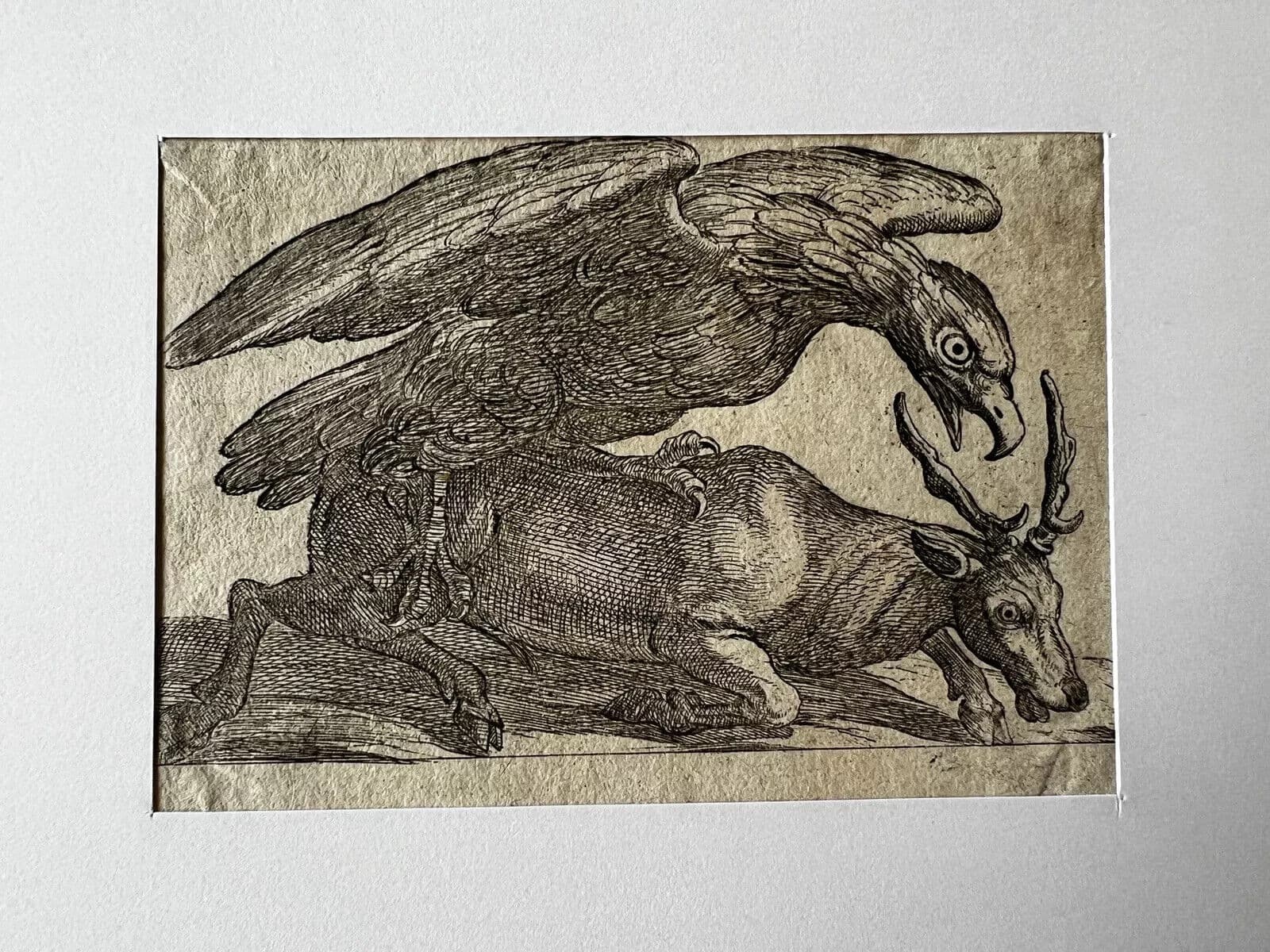 Antique Original Etching 17th century engraving, Eagle and Dear image 8