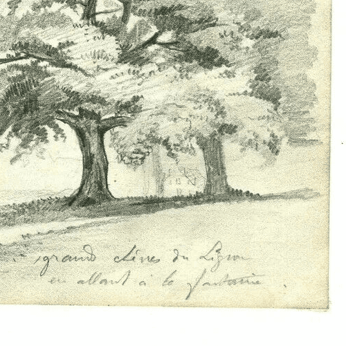 Antique Pencil Drawing Grand Oak Tree of Lignon, Nature, Forest Artwork image 4