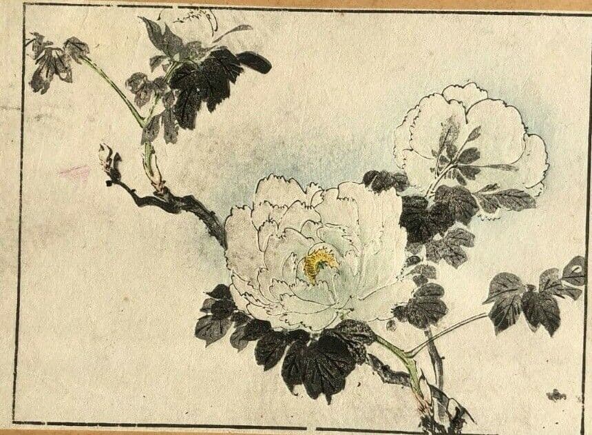 Antique Japanese Flower WoodPrint Flowers, Birds, Violet c. 1890 Art Print Ukiyo