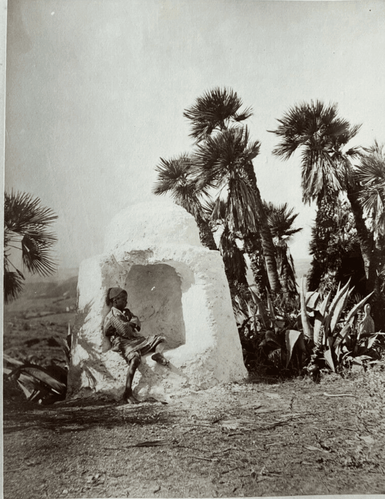 Photographs Albumen, Algeria Young Boy c. 1870