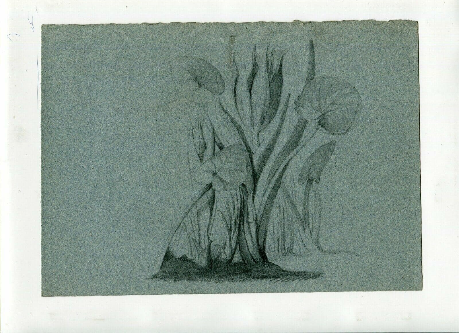 Drawing Flower on Blue paper image 2
