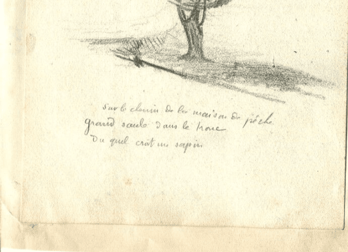Vintage Pencil Original Drawing of Fir, Willow Trees x2 image 4