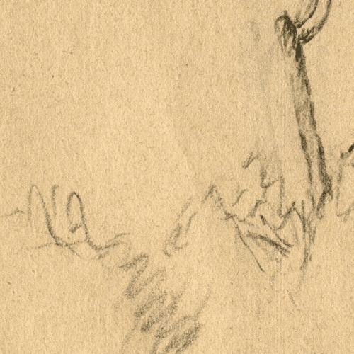 Vintage Pencil Original Drawing signed Tree Landscape Recipon 1945 image 4