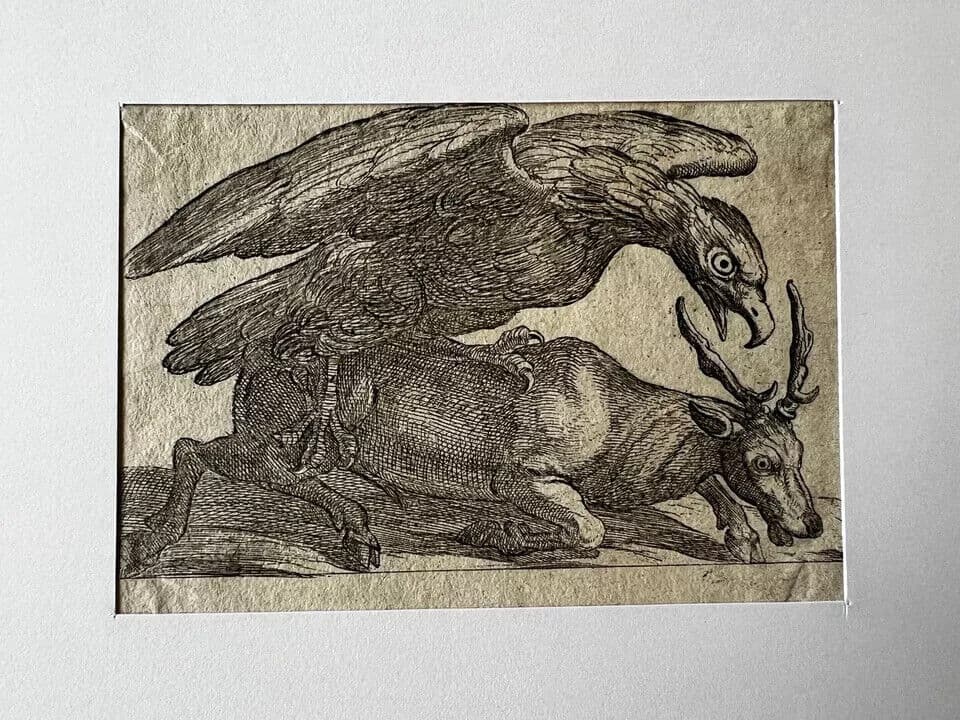 Antique Original Etching 17th century engraving, Eagle and Dear image 6