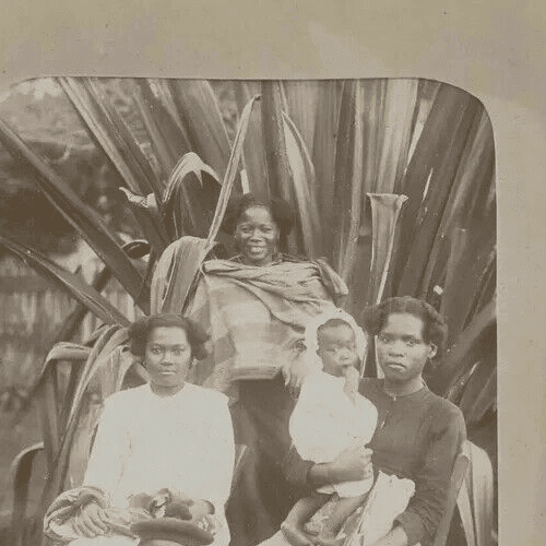 Vintage Photographs Malagasy Family, Madagascar, Albumen c. 1900 image 2