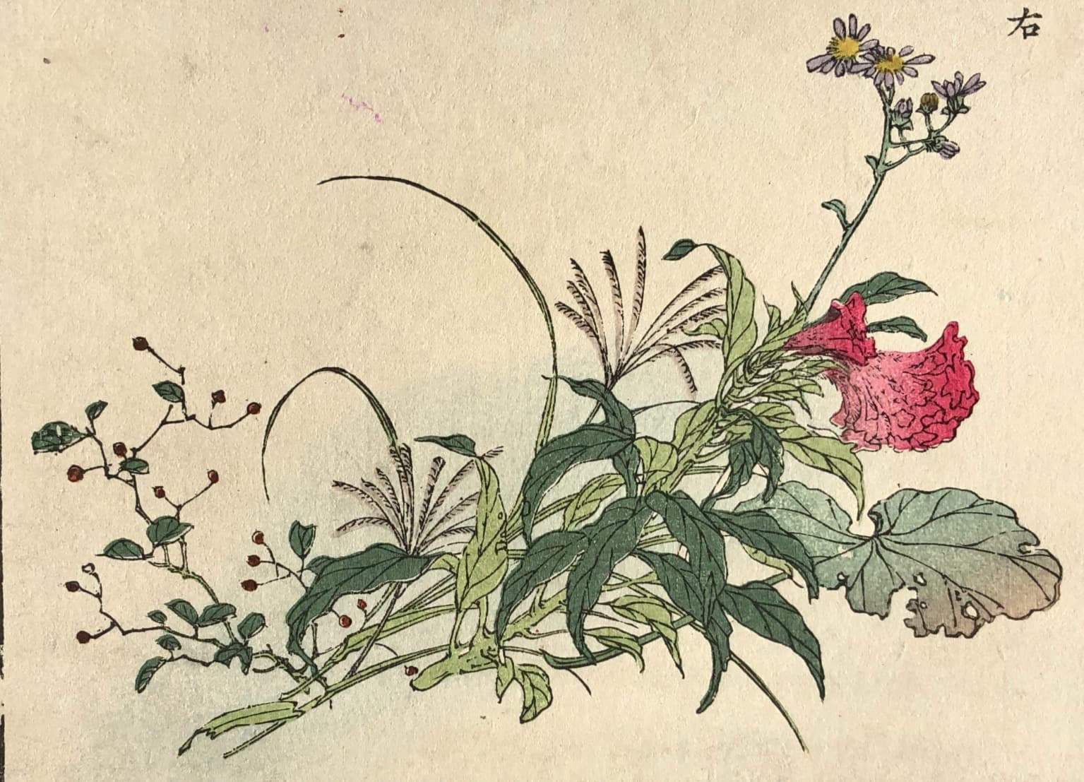 Japanease Flower Pink Flowers Ukiyo-e Print c. 1890