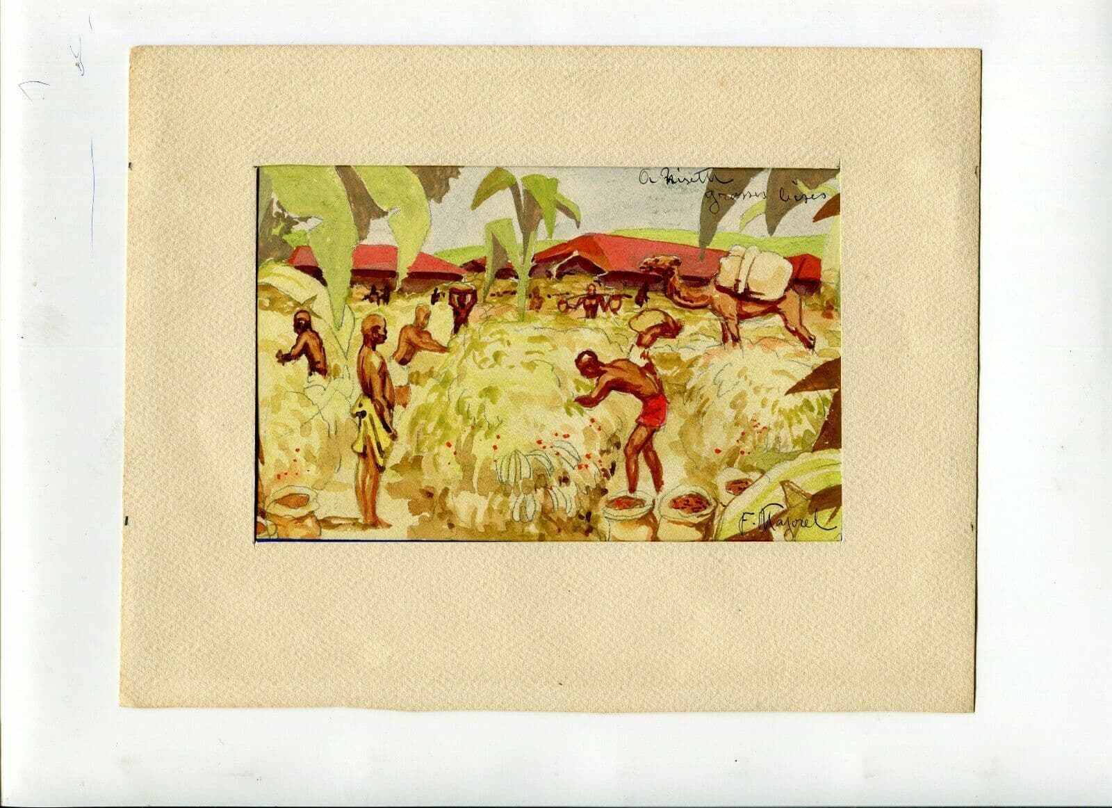 Fernand MAJOREL Fields, Africa, Banana Drawing image 2