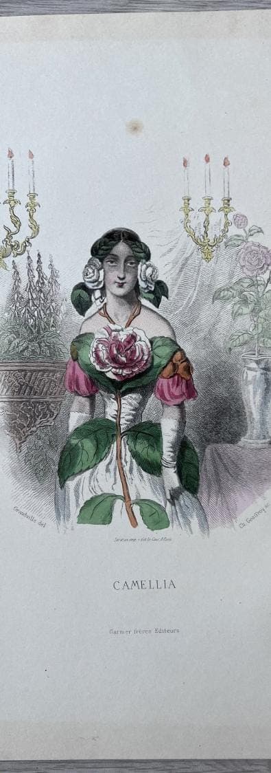 Elegant Floral Personification Camellia by Jean Ignace Isidore GRANDVILLE image 4