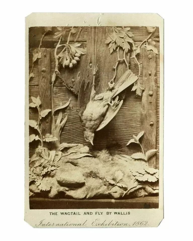 CDV Photograph - LONDON STEREOSCOPIC - International Exhibition, Still life 1862 image 4