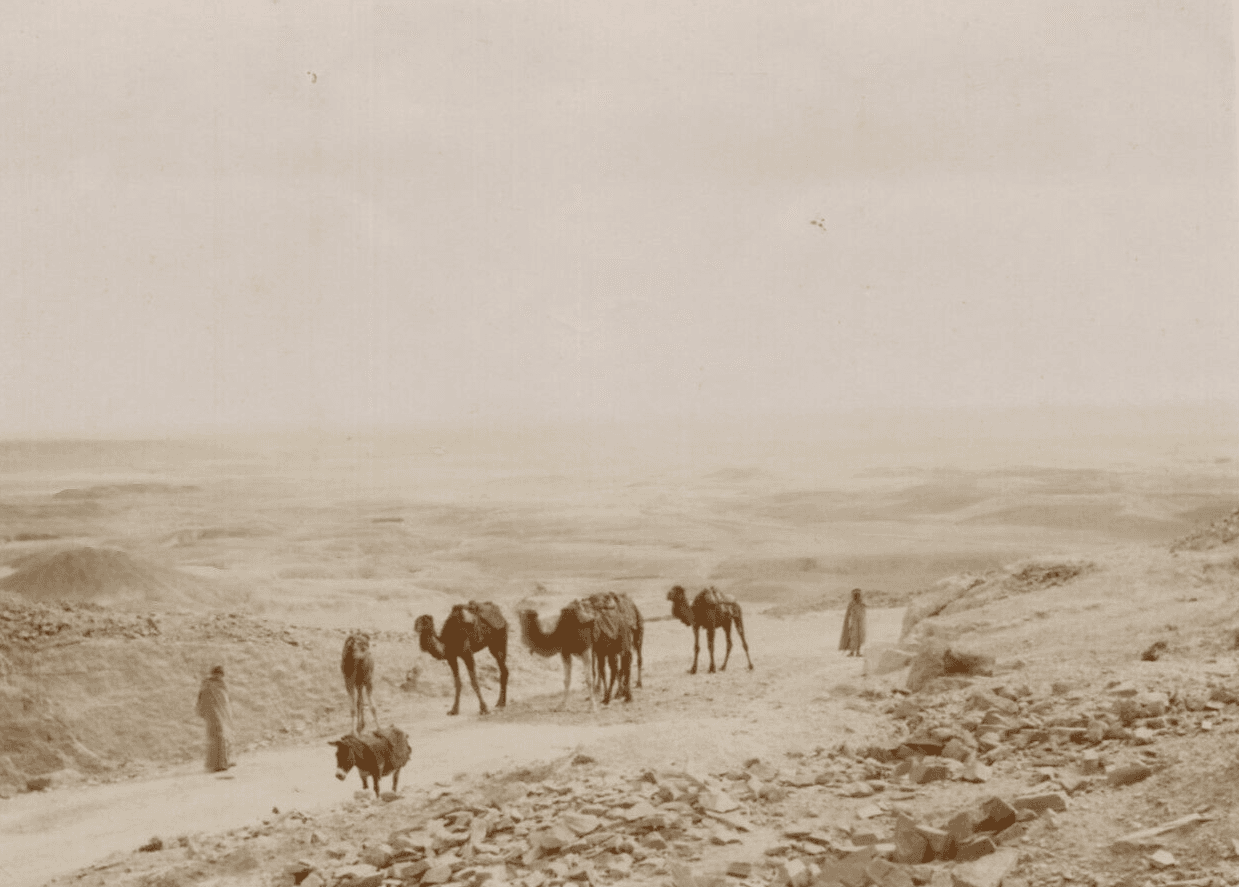 Vintage Photographs Orientalism Algeria, Mountain, People, Camels image 1